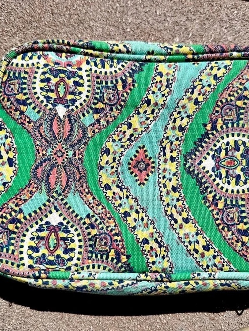 Paisley Cosmetic Case in Green & Pink
